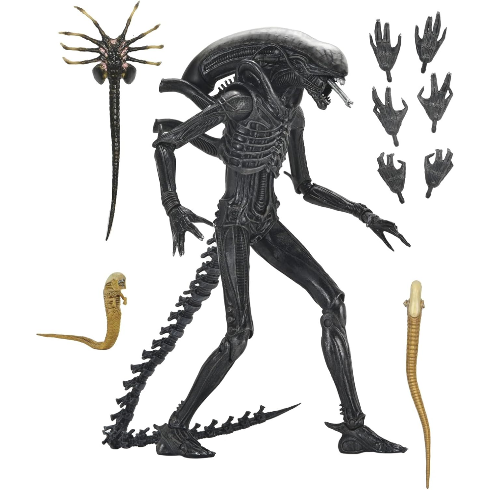 Figura Xenomorph XX121 – Alien: Romulus – Ultimate - 7