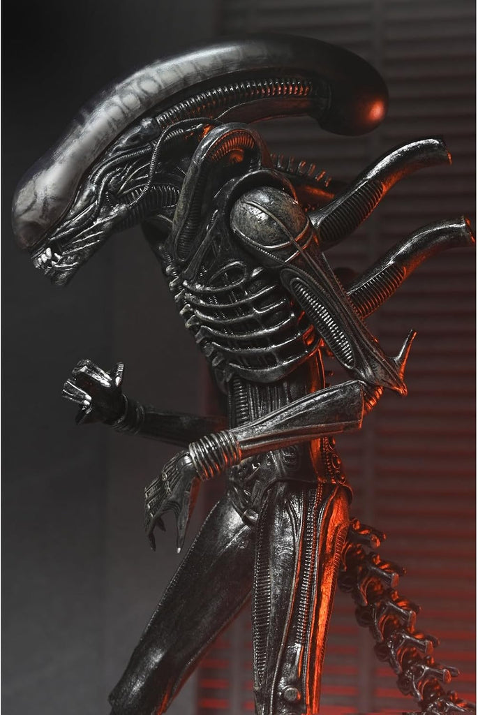 Figura Xenomorph XX121 – Alien: Romulus – Ultimate - 7
