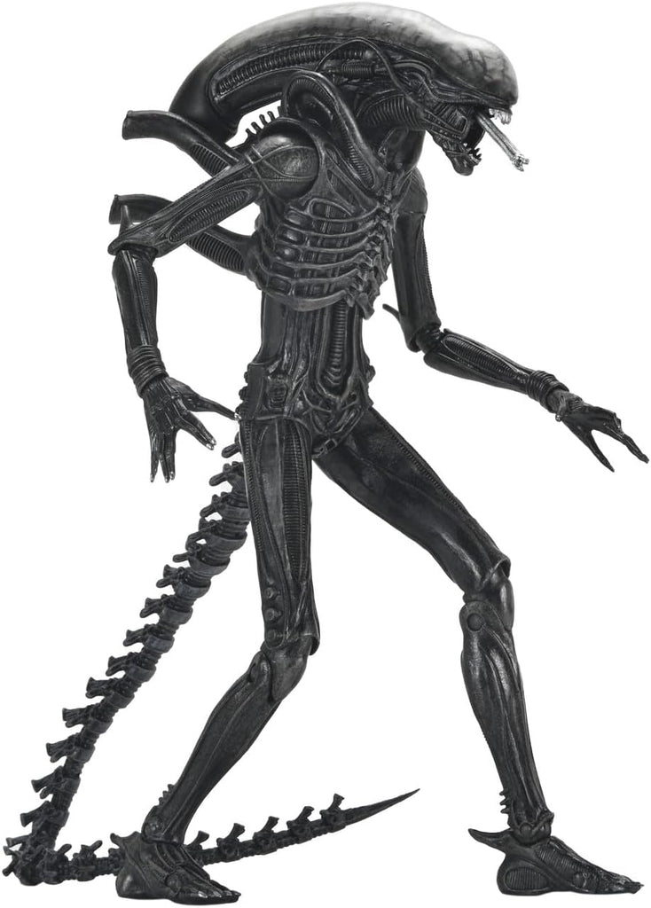 Figura Xenomorph XX121 – Alien: Romulus – Ultimate - 7