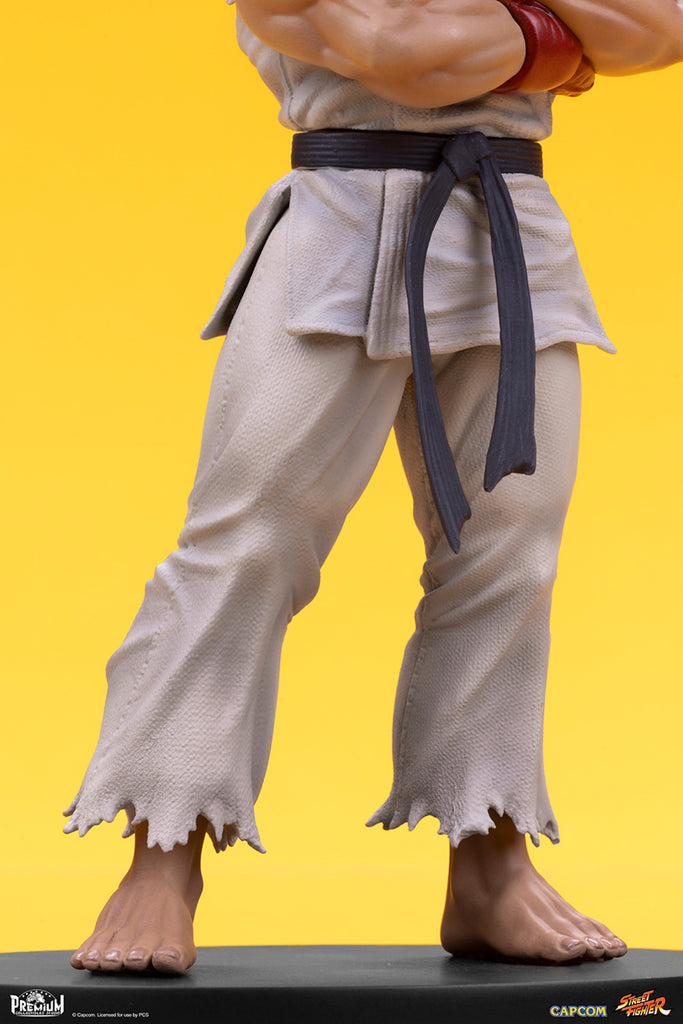Estátua Ryu And Dan - Street Fighter - 1/10 Scale Collectible Set - PCS