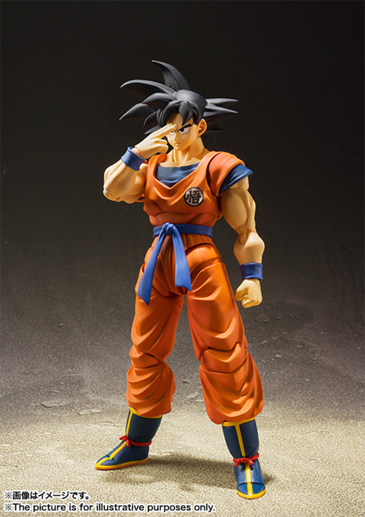 Figura Son Goku Rised on Earth - Dragon Ball Z - S.H.Figuarts - Bandai